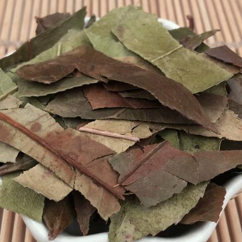 石楠叶红树叶500g大货初级农产品 中华药都批发散装石南叶